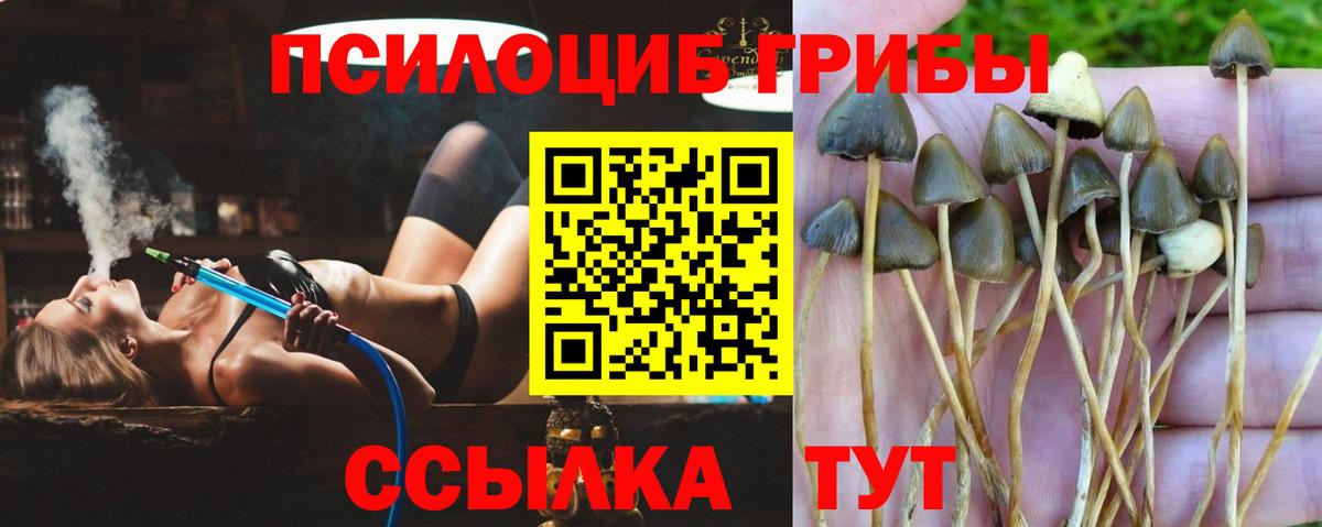 Псилоцибиновые грибы мицелий  дарнет шоп  Мурманск  Вход с VPN 